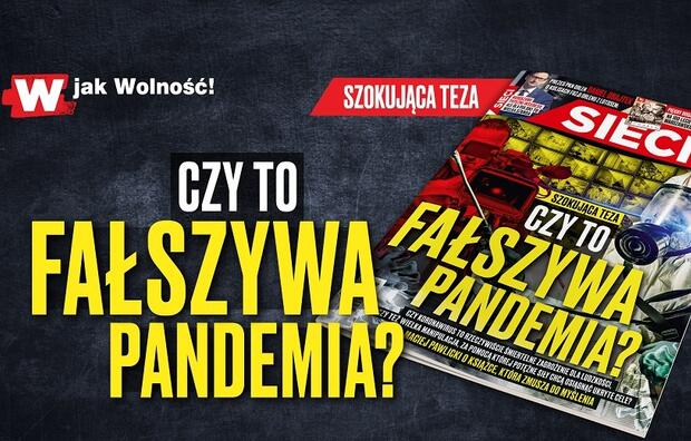Zdjęcie ilustracyjne / autor: Fratria