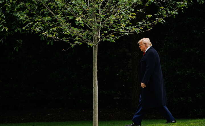 Prezydent USA Donald Trump / autor: PAP/EPA/SAMUEL CORUM