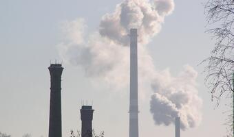 Szyszko: propozycje UE – dotyczące emisji CO2 - nie mogą być sprzeczne z interesem polskiej gospodarki