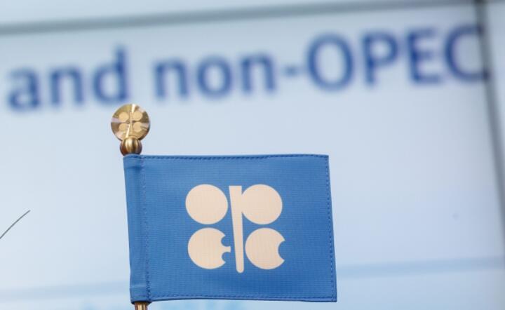 W Wiedniu odbyło się spotkanie producentów ropy, niezrzeszonych w OPEC, fot. PAP/EPA/LISI NIESNER 