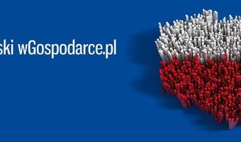Kolejny ruch Hajdarowicza: Po tygodniku "#Sieci" czas na portal wGospodarce.pl