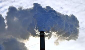 Ministerstwo Środowiska: PO i PSL nie podejmowały walki ze smogiem