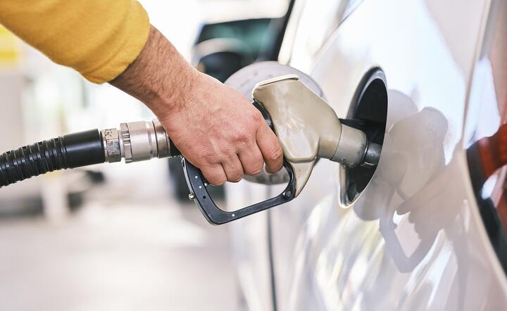 Obniżka cen benzyny w ubiegłym tygodniu okazała się jedynie chwilowa / autor: Pixabay