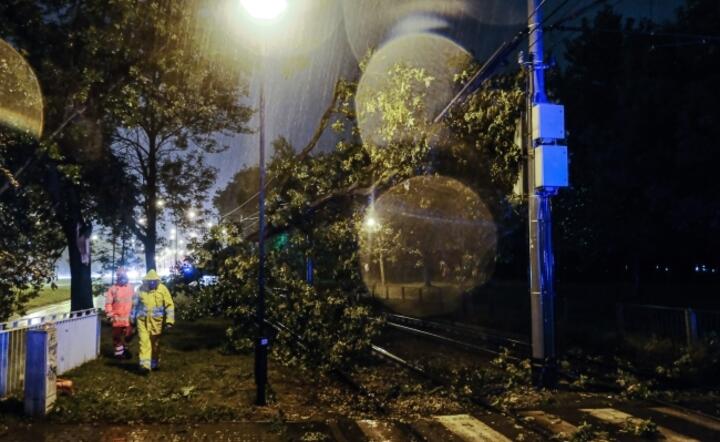Powalone drzewo zablokowało ruch tramwajowy na Woli / autor: PAP/Mateusz Marek