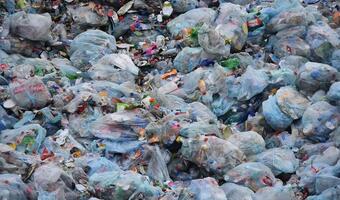 Ultimatum dla Rzymu: śmieci mają zostać sprzątnięte