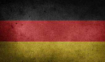 Nie tylko koronawirus: ASF objawiło się w Niemczech