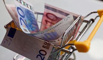 Oddzielnego budżetu strefy euro nie będzie?