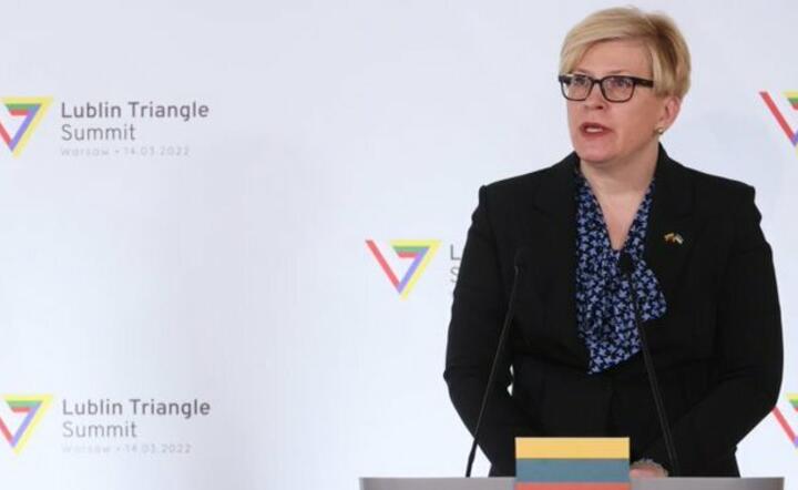 premier Litwy Ingrida Szimonyte / autor: TVP Parlament/ Twitter