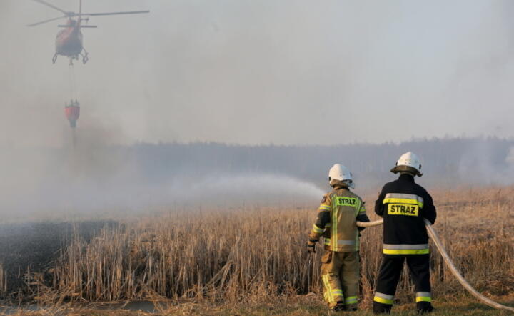 Szwedzi zadeklarowali pomoc w gaszeniu pożaru / autor: PAP/Artur Reszko
