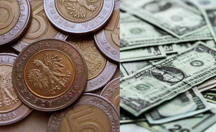 Złoty pozostaje silny na forex / autor: Pixabay x 2