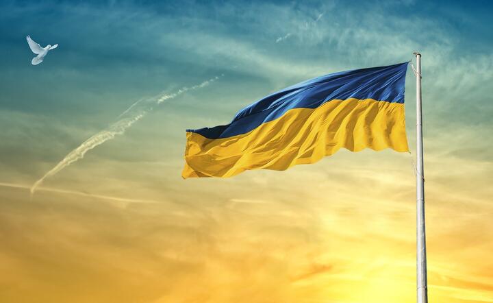 film o Ukrainie / autor: pixabay