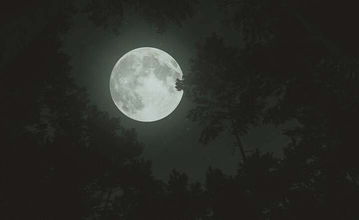 Wkrótce na Księżyc mogą trafić nowe lądowniki / autor: Fot. Pixabay