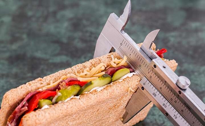 Metamorfoza sylwetki – za ile procent sukcesu odpowiada dieta? / autor: Pixabay