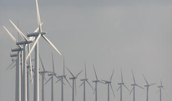 Dania ustanawia światowy rekord zużycia energii wiatrowej