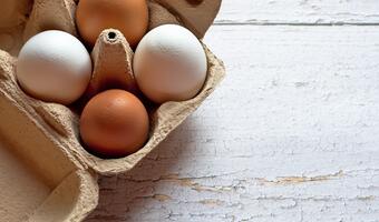 Obalamy mity na temat jajek