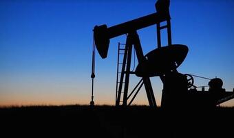 Cena ropy naftowej może spaść do 10 USD za baryłkę