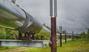 Holandia. Gminy zrezygnuja z dostaw Gazpromu do października