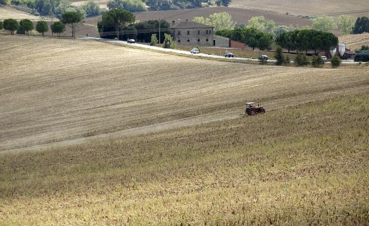 OSW: Rosja wstrzymuje eksport zbóż na Białoruś i Kazachstan