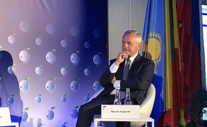 Minister cyfryzacji Marek Zagórski na penelu Forum Ekonomicznego / autor: Twitter @MC_GOV_PL
