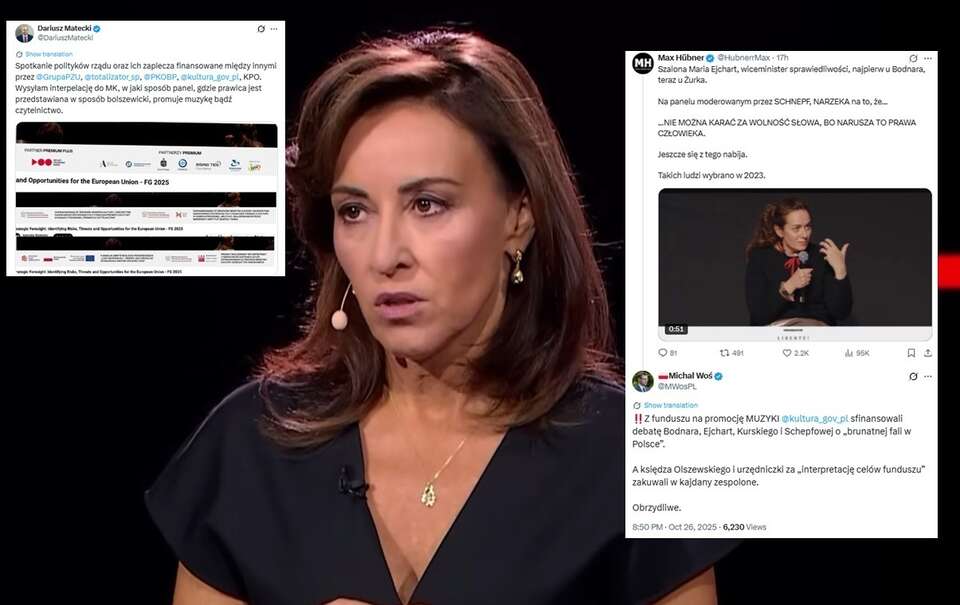 Dorota Wysocka-Schnepf  / autor: YT: TVP w likwidacji