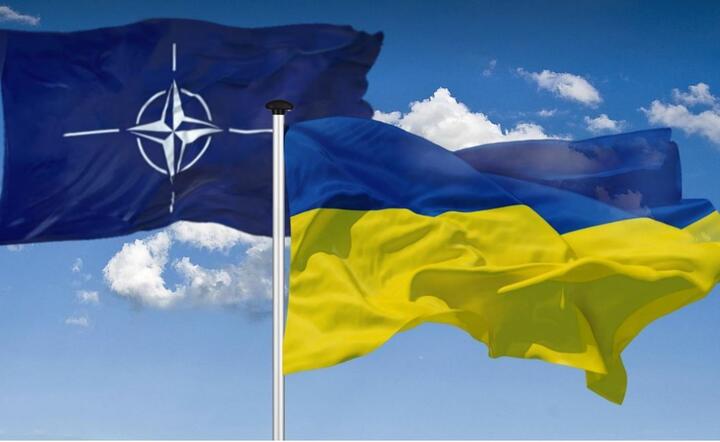 Flagi NATO i Ukrainy  / autor: Pixabay 