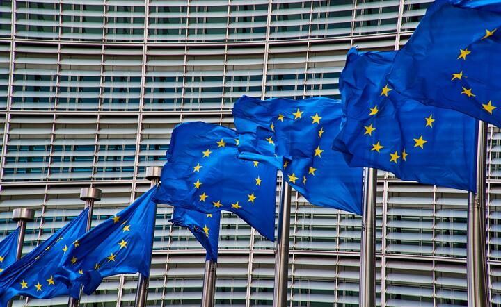 Flagi Unii Europejskiej / autor: NakNakNak/Pixabay