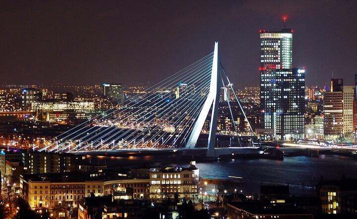 Rotterdam  / autor: Pixabay
