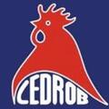 Zdjęcie Kongres CEDROB-u