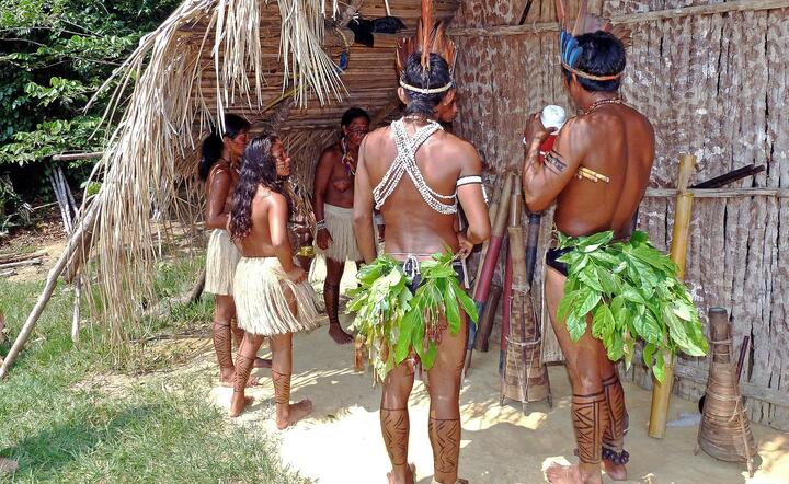 Indianie amazońscy / autor: pixabay.com