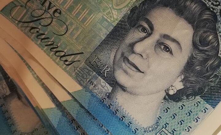 pounds / autor: Pixabay