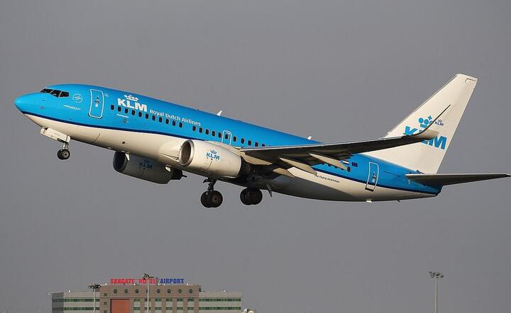 Linie lotnicze KLM / autor: Pixabay