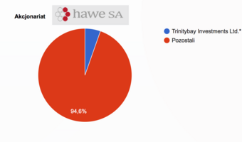 Zarządca Hawe S.A. twierdzi, że spółka ukryła 150 mln zł zadłużenia i wnioskuje o umorzenie postępowania sanacyjnego