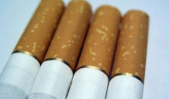 Złe wieści dla polskiej branży tytoniowej i budżetu