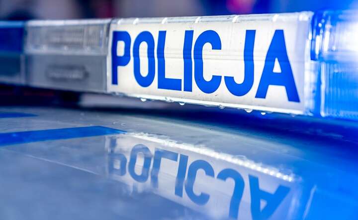 Policja zatrzymała 41-letniego mieszkańca Sopotu, podejrzewanego o kradzież prywatnego auta / autor: Fratria / LS