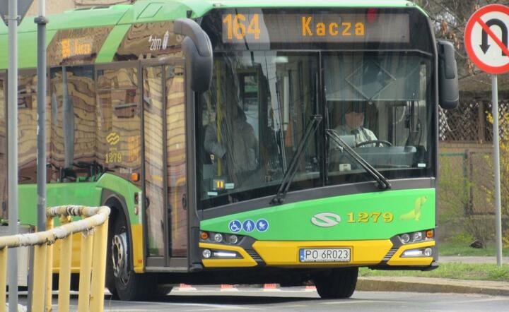 Autobus w Poznaniu / autor: Materiały prasowe