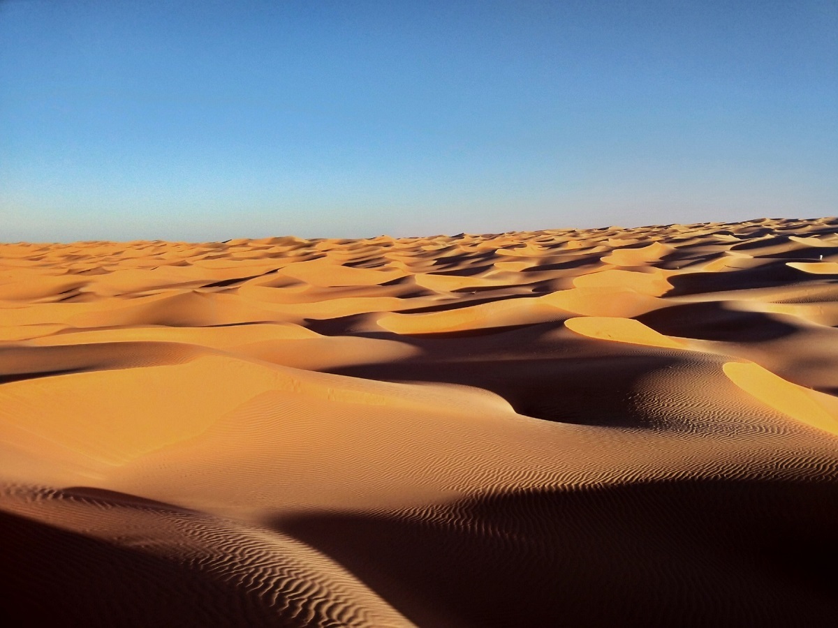 Сахара песок Алжир
