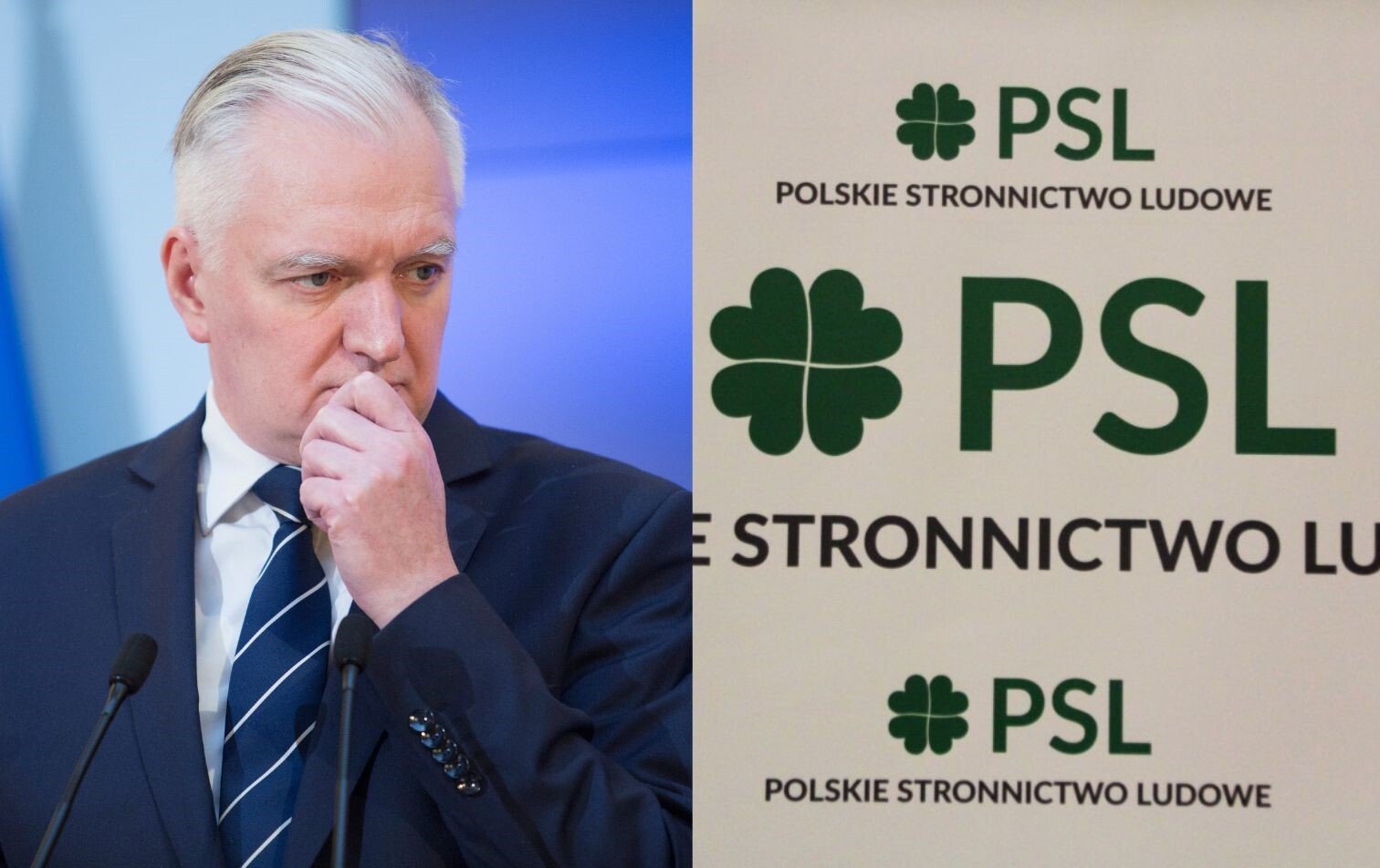 Tylko U Nas Ludowcy Nie Chcą Gowina Politycy Psl Komentują 9732