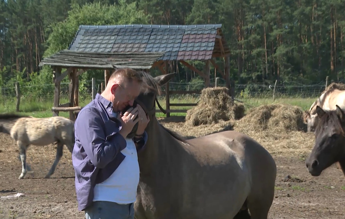 Jest decyzja Lasów Państwowych ws. stadniny Telusa! "Hucpa"