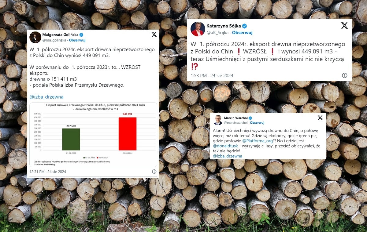 Wzrósł eksport drewna do Chin. "Nic nie krzyczą?!"
