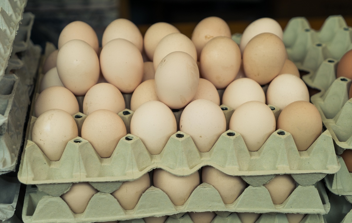 Bird flu in Poland. Negotiations with the EC on restrictions soon