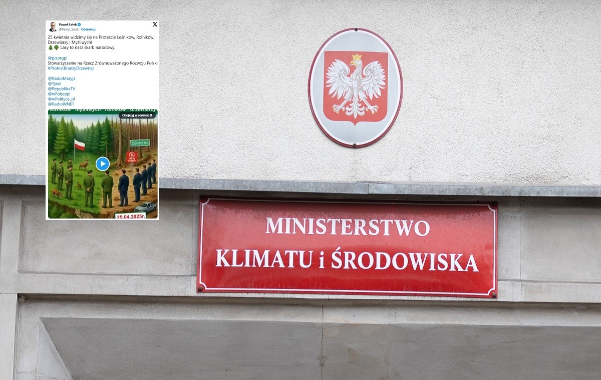 Już 25 kwietnia Protest Ludzi Lasu przed siedzibą MKiŚ!
