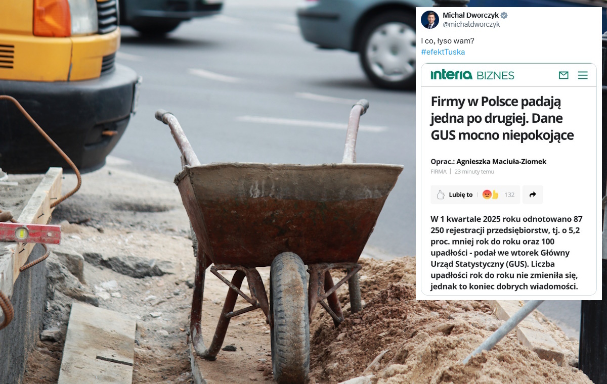 Tragiczne dane GUS o przedsiębiorstwach. Padają jak muchy