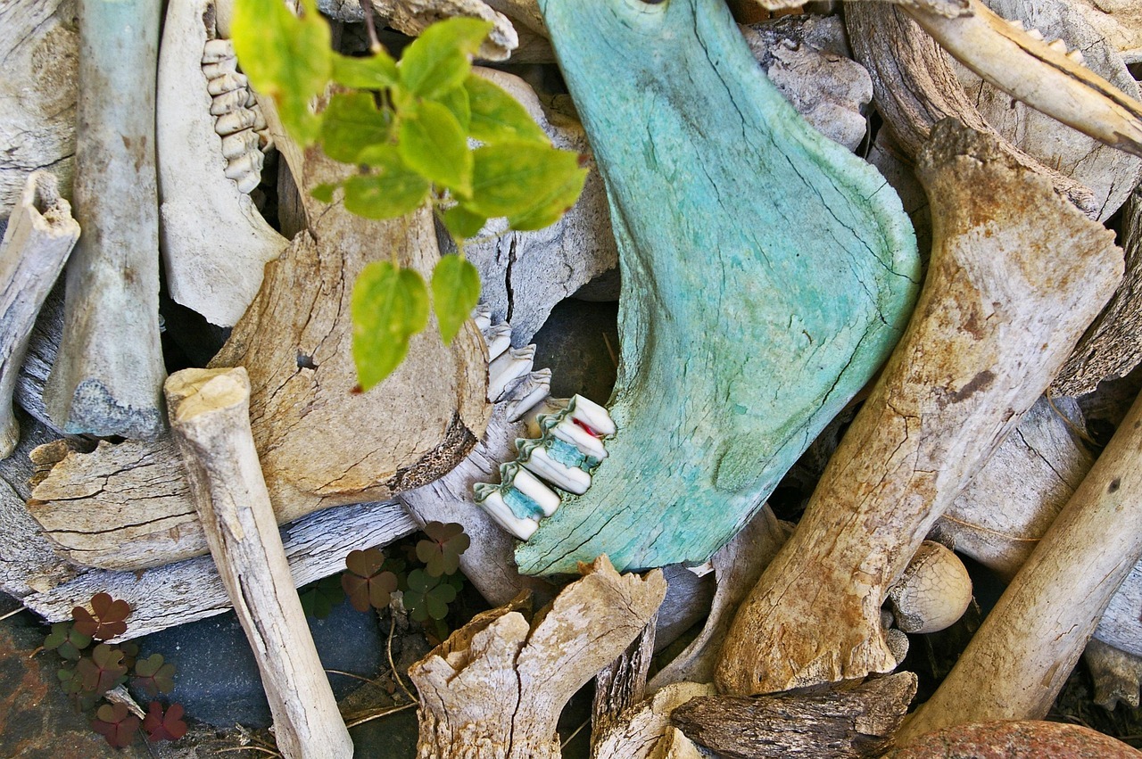 Polscy archeolodzy odkryli w Peru cmentarzysko sprzed wieków