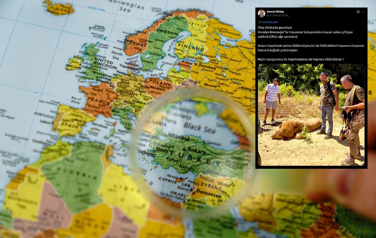 Z zoo w tureckiej Antalyi uciekł lew! Zaatakował mężczyznę