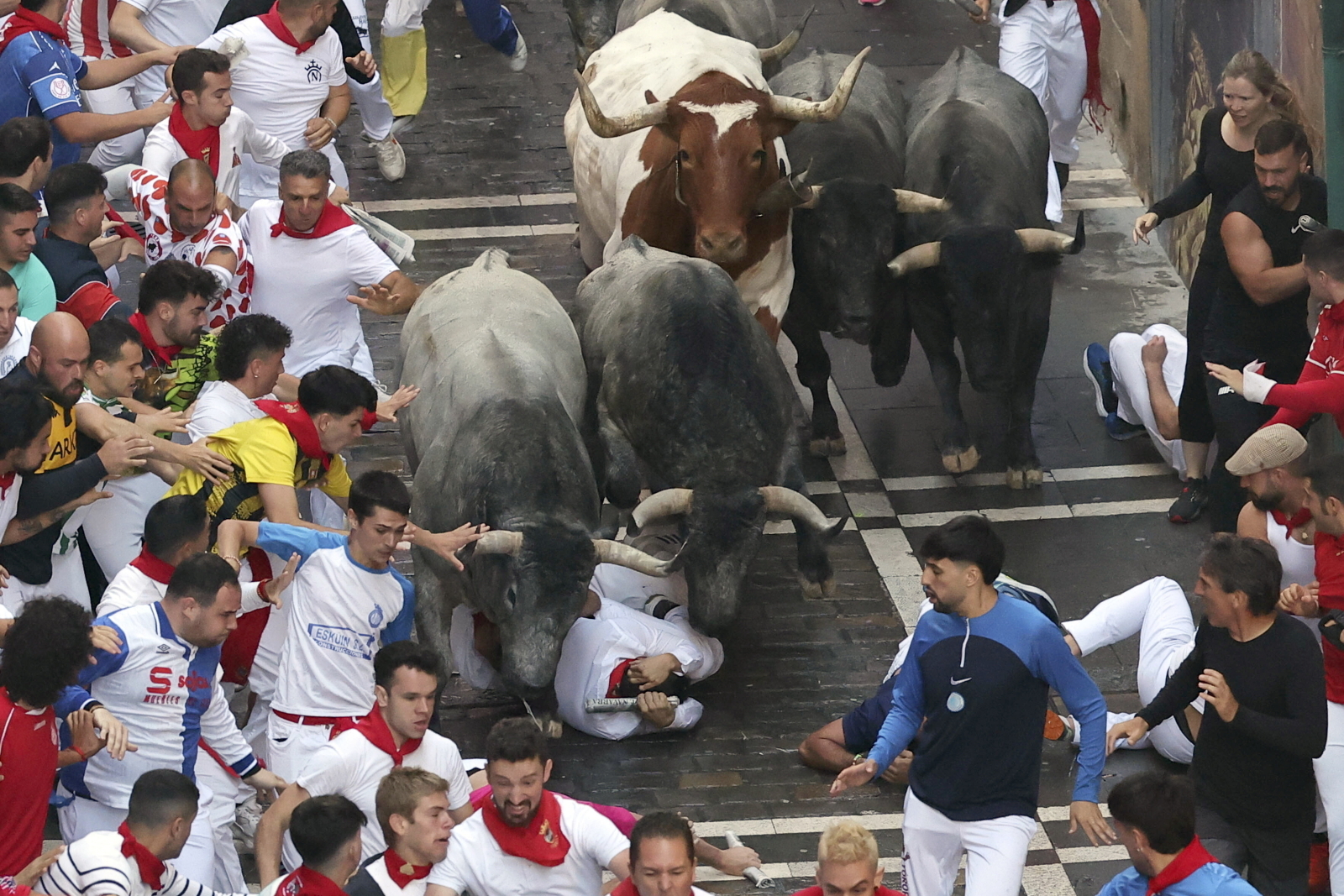 Szósty bieg z bykami w Pampelunie. Kilka osób rannych