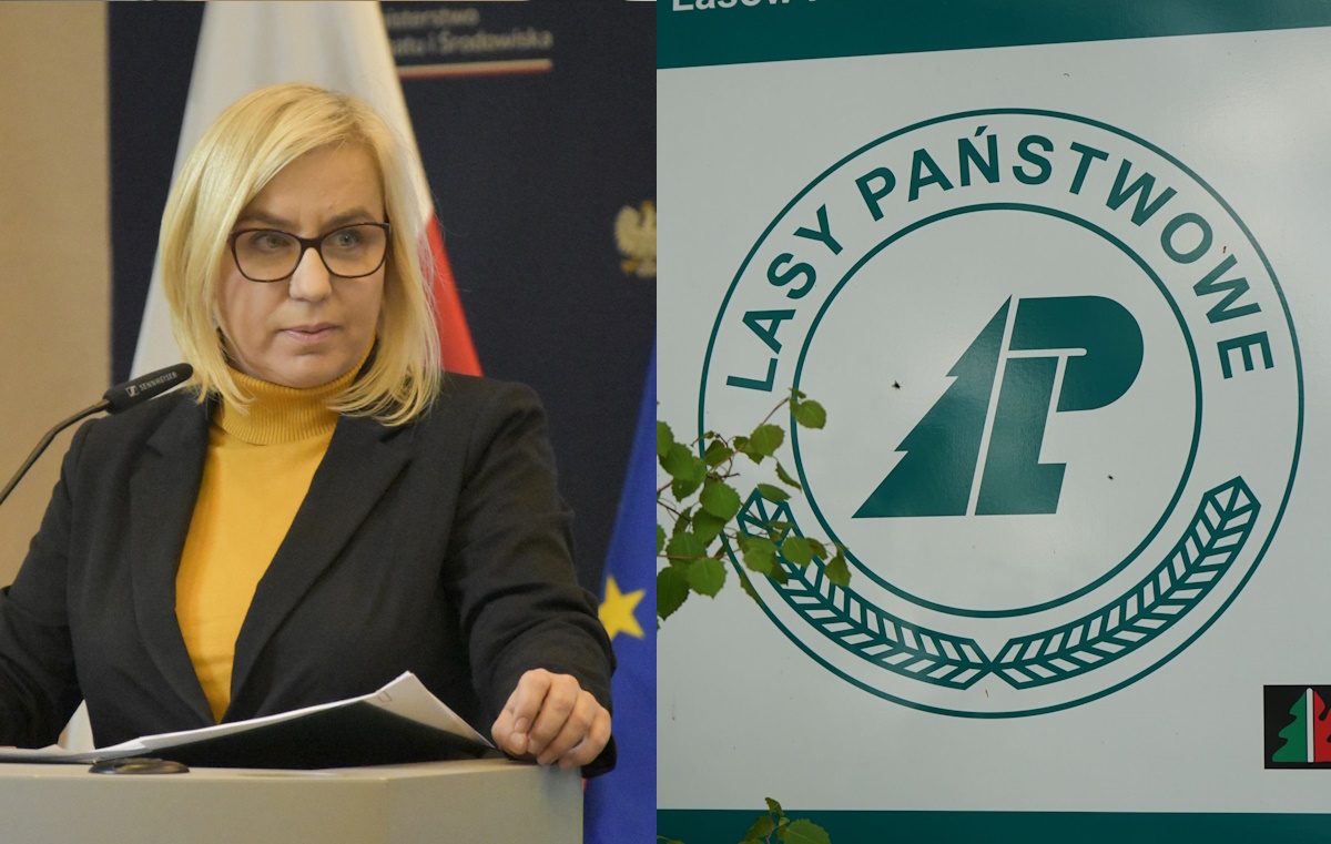 Nowy szef Lasów Państwowych! Jest decyzja Hennig-Kloski