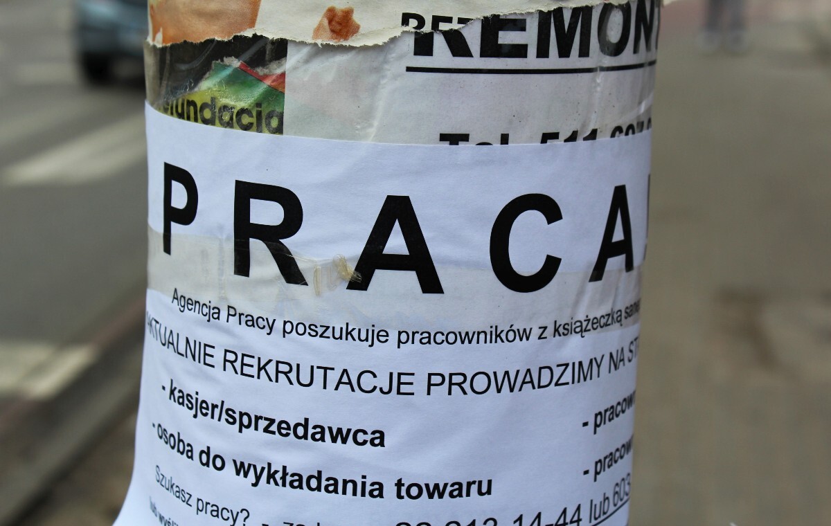 Młodzi zaczynają od freelancingu. Skąd tego typu decyzje?