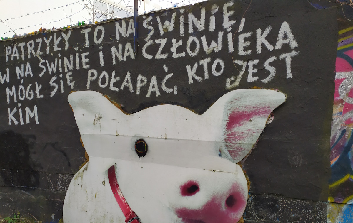 wiadomości,aktualności,wPolityce.pl 80 lat temu ukazał się „Folwark zwierzęcy