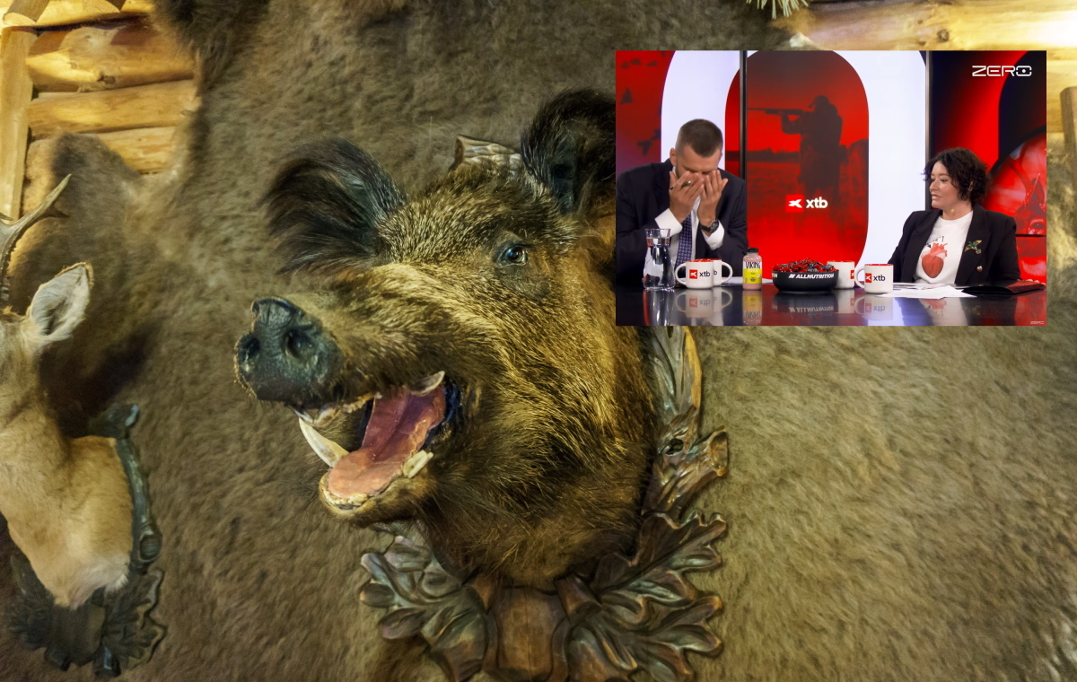 To trzeba zobaczyć! Możdżonek kontra Żukowska