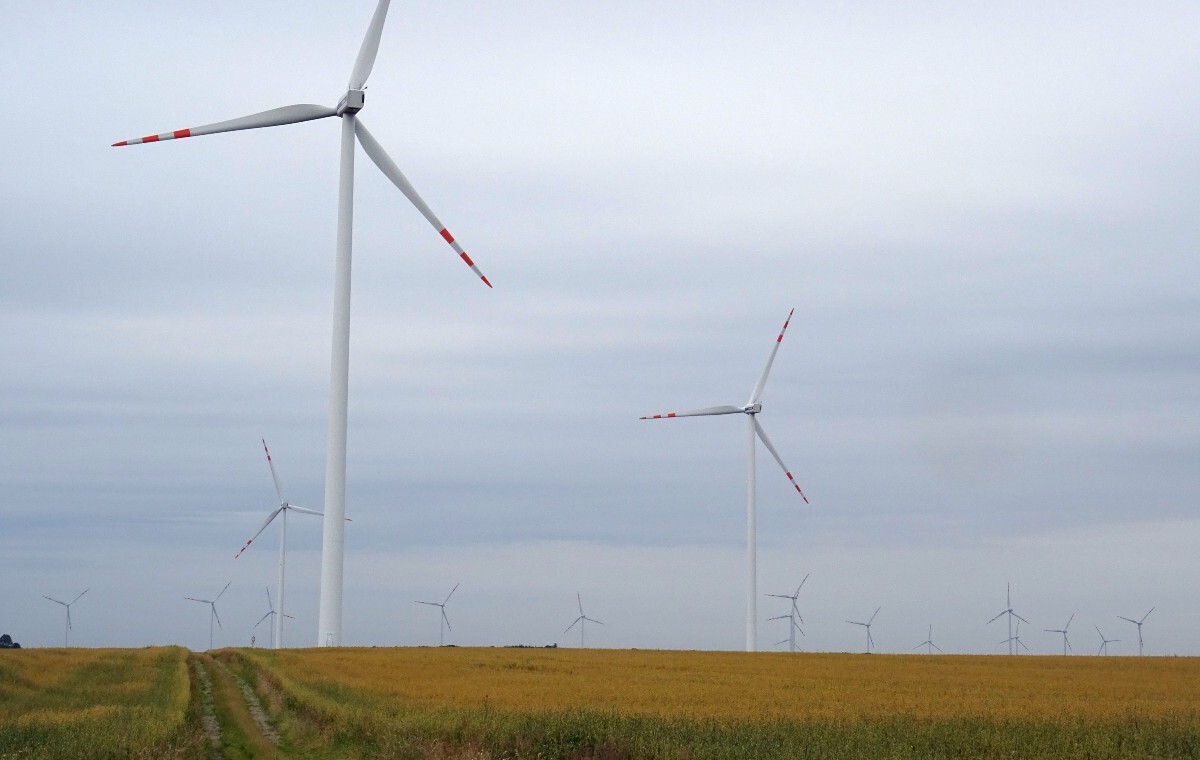 Szef niemieckiego giganta mówi prawdę o zielonej energii!